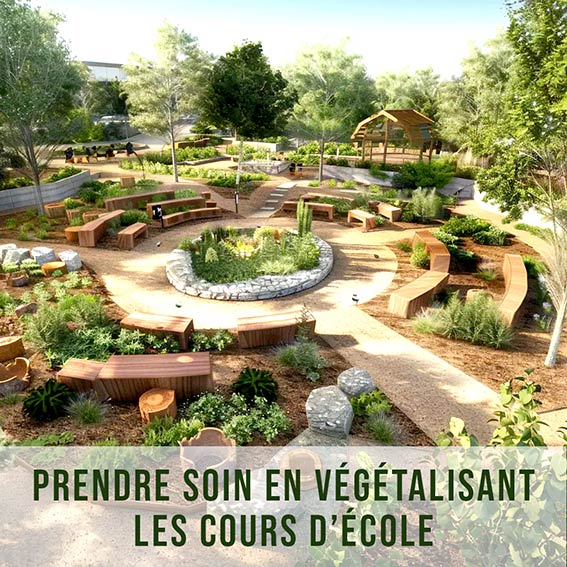Végétaliser les cours d’école